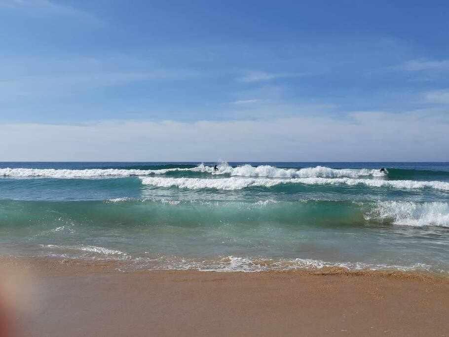 Apartamento A 150M De La Playa Wifi Gratis دينايا المظهر الخارجي الصورة